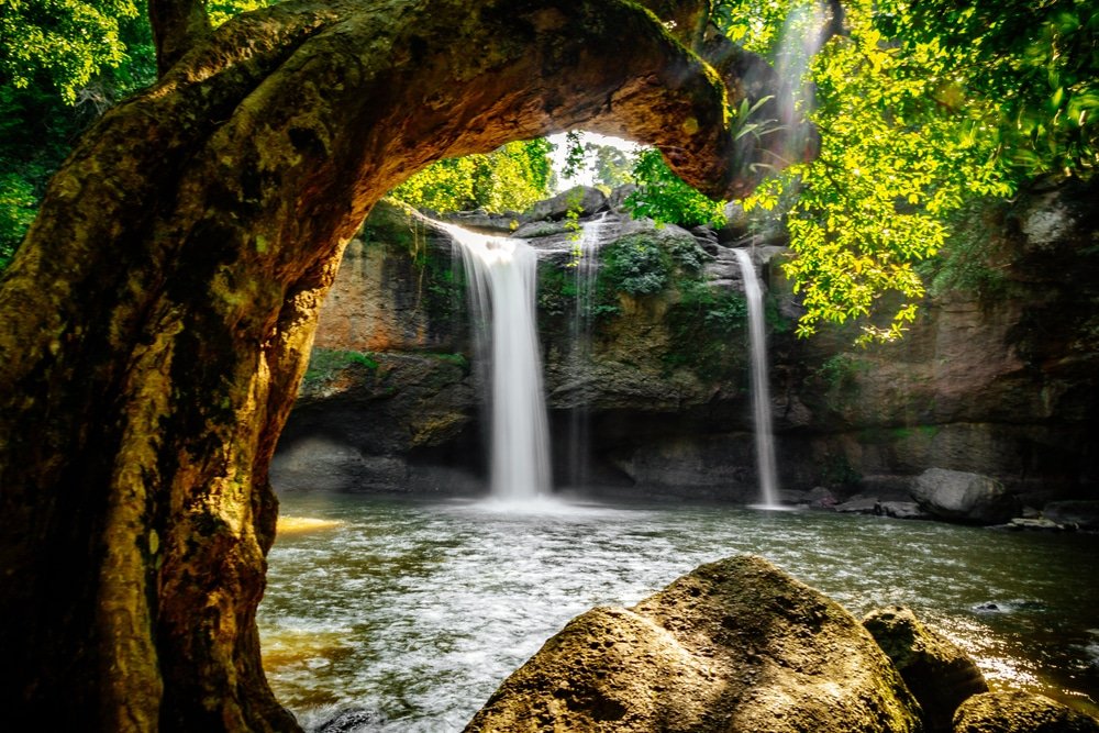 ต้นไม้โค้งเป็นกรอบให้กับน้ำตกคู่ที่ไหลลงสู่สระน้ำซึ่งล้อมรอบด้วยหินและพืชพรรณเขียวชอุ่มในป่าที่อาบแสงแดด—เหมาะสำหรับผู้ที่มองหาสถานที่ท่องเที่ยวเขาใหญ่ท่ามกลางความงดงามของธรรมชาติ.