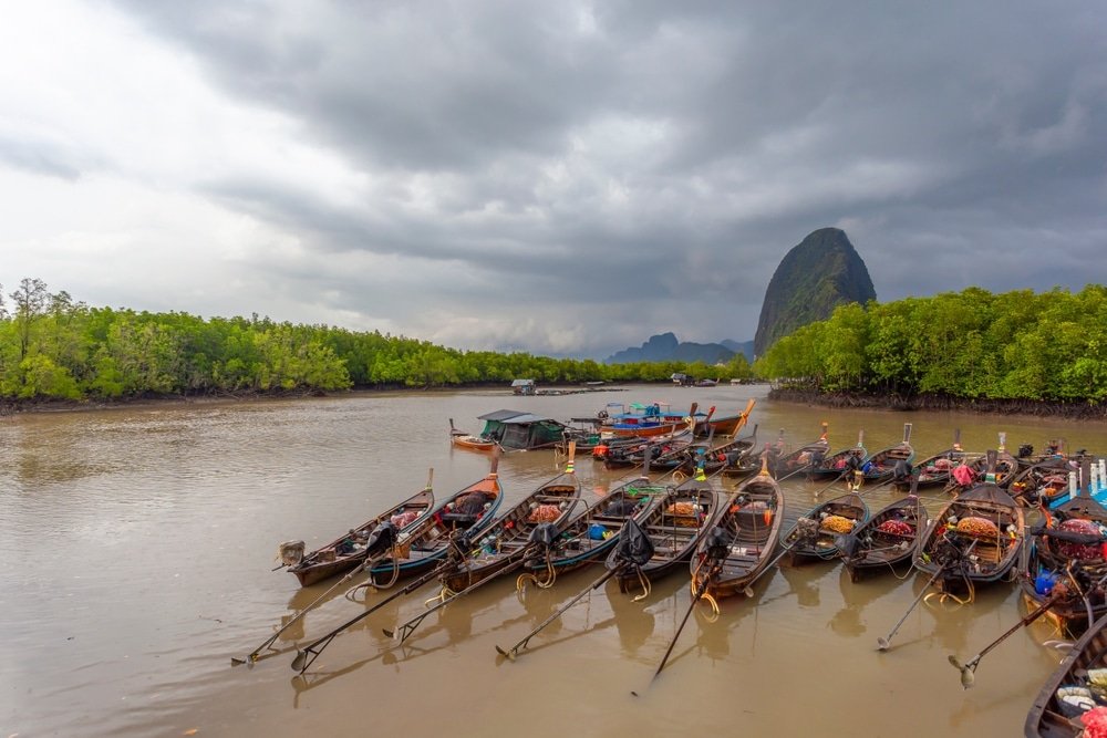 เรือไม้เรียงรายจอดอยู่ในแม่น้ำที่มีริมฝั่งพืชพันธุ์หนาแน่นและมีเนินหินขนาดใหญ่เป็นพื้นหลังภายใต้ท้องฟ้าที่มีเมฆมาก จับภาพบรรยากาศอันเงียบสงบของพื้นที่ท่อง เที่ยวพังงา