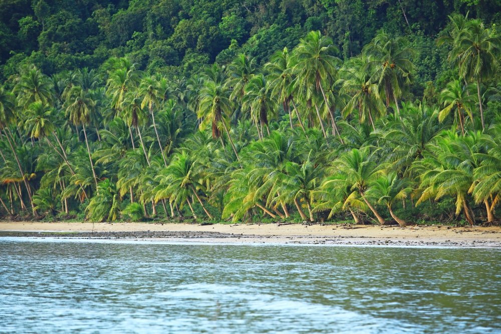 สำรวจความงามในเขตร้อนของชุมพรที่ ที่เที่ยวชุมพร เที่ยว ซึ่งมีชายหาดอันสวยงามเรียงรายไปด้วยต้นปาล์มและต้นไม้เขียวขจีหนาแน่น โดยมีฉากหลังเป็นคลื่นทะเลที่เงียบสงบ