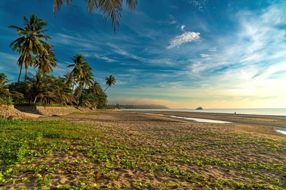 สำรวจความงามอันเงียบสงบของชายหาดเขตร้อนในชุมพร ที่เที่ยวชุมพร ที่ซึ่งต้นปาล์มโบกไหวอย่างแผ่วเบาเหนือพืชพรรณสีเขียวบนผืนทรายสีทอง และมหาสมุทรอันเงียบสงบทอดยาวภายใต้ท้องฟ้าสีฟ้าใส สวรรค์อันเงียบสงบแห่งนี้เหมาะอย่างยิ่งสำหรับการพักผ่อนและฟื้นฟูร่างกาย