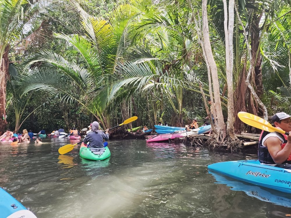 ผู้คนพายเรือคายัคในลำน้ำในป่าที่รายล้อมไปด้วยต้นปาล์มสีเขียวชอุ่ม สัมผัสธรรมชาติอันงดงามของท่องเที่ยวกระบี่