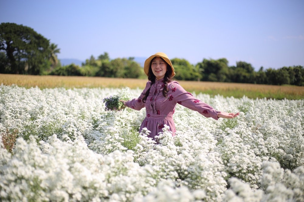 คนชุดสีชมพู หมวกสีเหลือง ยืนอย่างร่าเริงใน ทุ่งดอกไม้สวยๆ ทุ่งดอกไม้คอสมอส ถือช่อดอกไม้เล็ก ๆ ใต้ท้องฟ้าสีครามสดใส