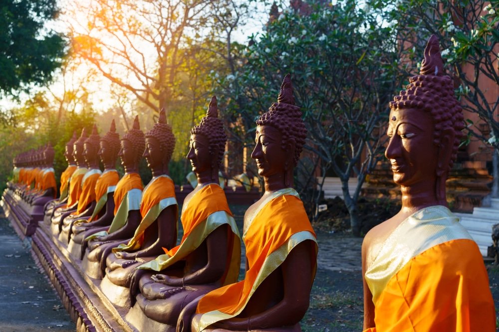 พระพุทธรูปสวมผ้าคลุมสีส้มตั้งเรียงรายอยู่กลางแจ้งบนเกาะพีพี โดยมีแสงแดดส่องผ่านต้นไม้ลงมาอย่างงดงาม