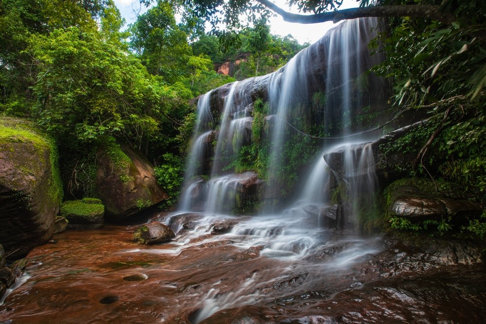 น้ำที่ไหลลดหลั่นไปตามโขดหินสู่ลำ ท่องเที่ยวอีสาน ธารเล็กๆ ที่ล้อมรอบด้วยพืชพรรณสีเขียวชอุ่มทำให้เกิดฉากอันเงียบสงบในพื้นที่ป่าแห่งนี้ ทำให้ที่นี่เป็นหนึ่งในสถานที่ท่องเที่ยวอันดับต้นๆ สำหรับผู้รักธรรมชาติที่แสวงหาความเงียบสงบ.