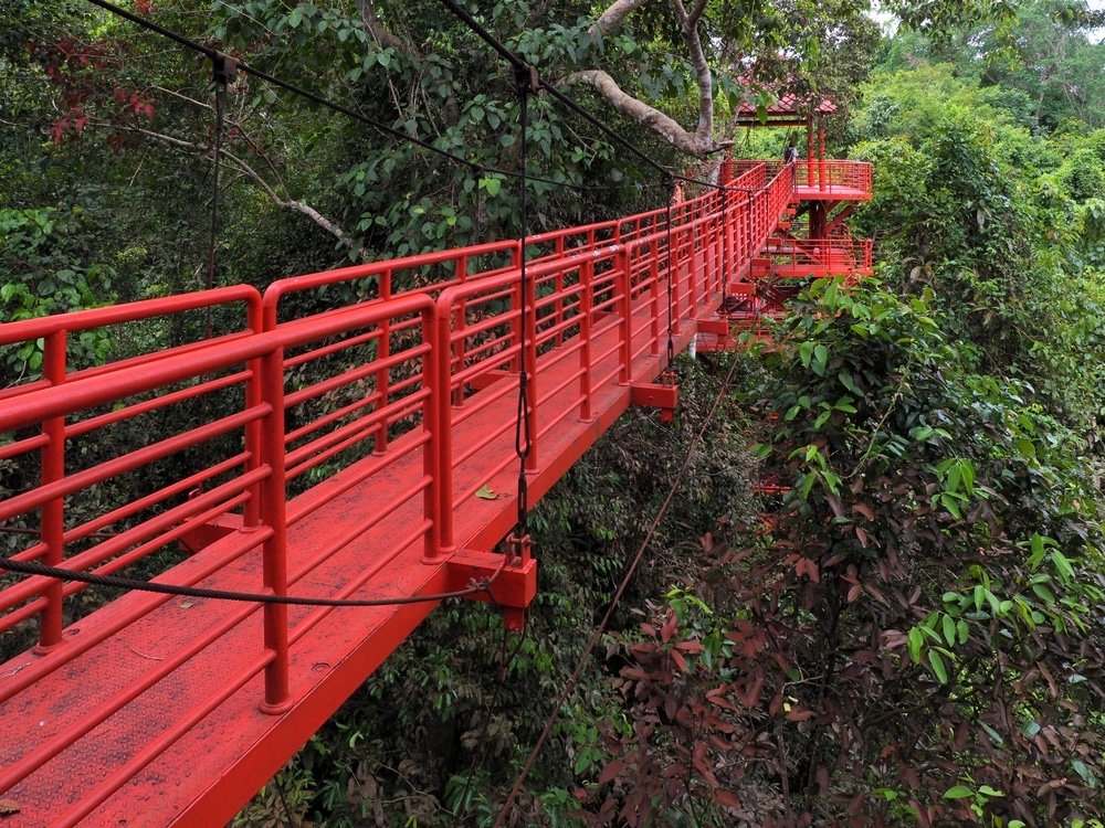 สะพานแขวนสีแดงทอดยาวอย่างสง่างามผ่านใบไม้สีเขียวหนาทึบ เชื่อมต่อ ท่องเที่ยวตรัง แท่นยกสูงสองแห่งในพื้นที่ป่าอันเงียบสงบ ทำให้เป็นสถานที่ท่องเที่ยวที่ห้ามพลาด.