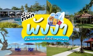 ภาพต่อกันของรีสอร์ทรีวิว ที่พักพังงา พังงาริมชายหาดเขตร้อนพร้อมสระน้ำ ต้นปาล์ม และเก้าอี้นั่งเล่น โดยมีข้อความภาษาไทยและภาพประกอบธีมการเดินทางซ้อนทับอยู่ตรงกลาง.