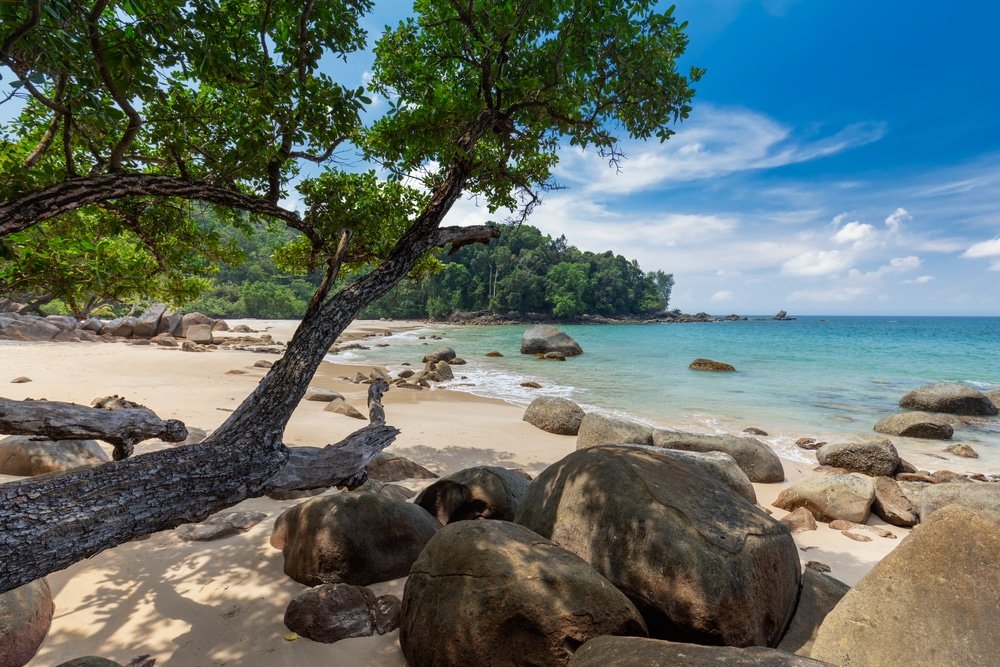 วิวชายหาดที่สวยงามในเขาหลักที่เที่ยวมีหินขนาดใหญ่และต้นไม้อยู่เบื้องหน้า พร้อมด้วยน้ำทะเลสีฟ้าครามอันเงียบสงบ เบื้องหลังเป็นป่าเขียวชอุ่มทอดยาวใต้ท้องฟ้าสีครามซึ่งเต็มไปด้วยเมฆสีขาว จึงเป็นที่พักที่เหมาะสำหรับผู้รักธรรมชาติ.