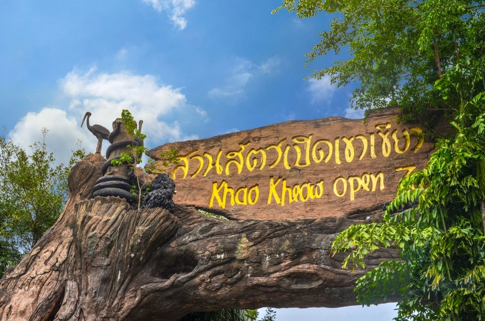 ป้ายทางเข้าสวนสัตว์เปิดเขาเขียวในประเทศไทย เขียนเป็นภาษาไทยและ ที่เที่ยวใกล้กรุงเทพ ภาษาอังกฤษ ติดตั้งบนต้นไม้เทียมขนาดใหญ่ที่มีประติมากรรมสัตว์—เหมาะสำหรับนักเดินทางที่สำรวจเกินกว่า ท่องเที่ยวสตูล—ล้อมรอบด้วยต้นไม้เขียวขจีและท้องฟ้าสีคราม.