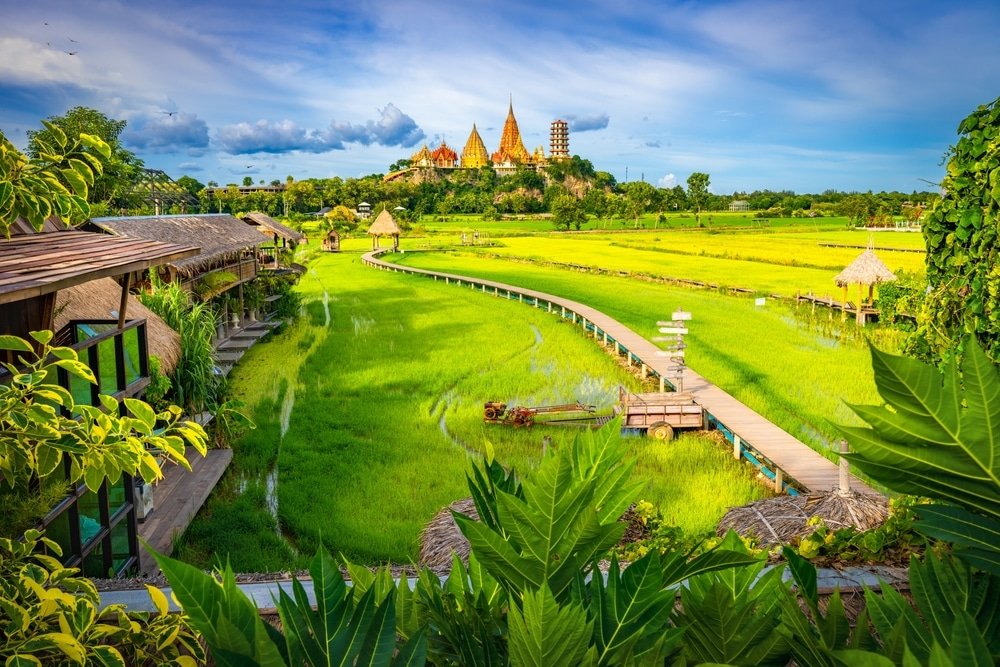 ทุ่งนาสีเขียวชอุ่มทอดยาว มีทางเดินไม้ทอดยาวไปยังโครงสร้างวัดขนาด ที่เที่ยวใกล้กรุงเทพ ใหญ่ใต้ท้องฟ้าสีคราม ล้อมรอบด้วยพืชพรรณเขตร้อน—ประสบการณ์การท่องเที่ยวสตูลที่เงียบสงบ ท่ามกลางความงามตามธรรมชาติที่ตระการตา.