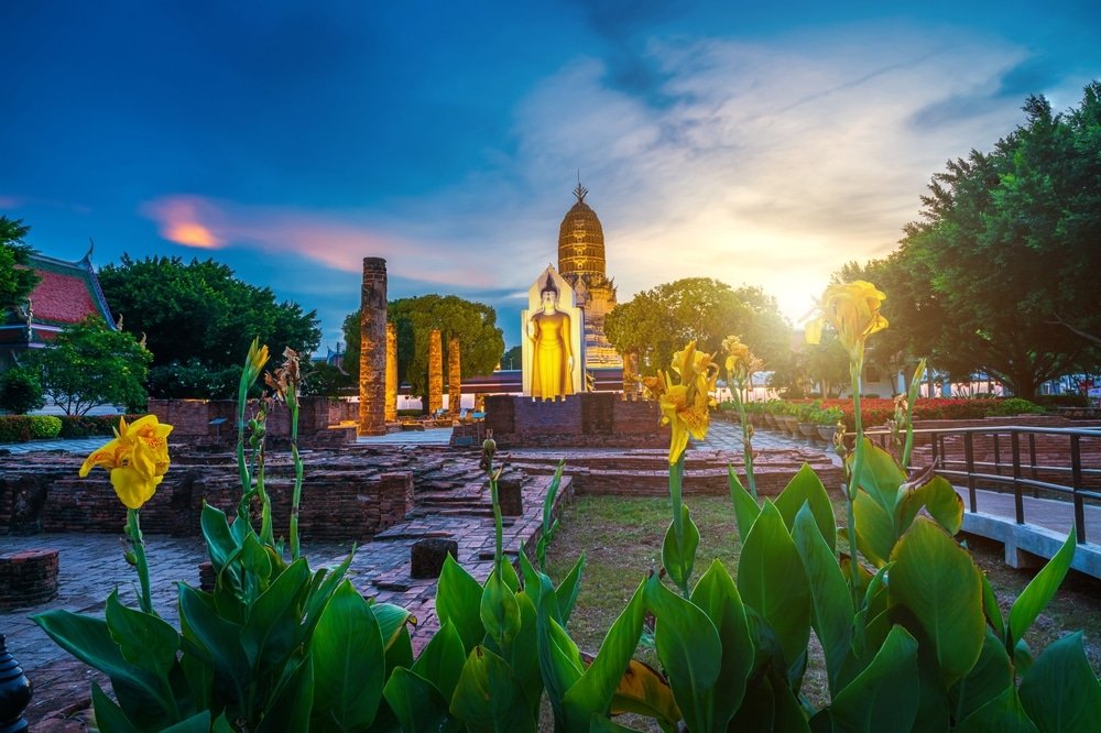 ดอกไม้สีเหลืองในฉากหน้าพร้อม เที่ยวใกล้กรุงเทพ พระพุทธรูปโบราณและซากวัดในยามพระอาทิตย์ตกดิน ท่ามกลางบรรยากาศกลางแจ้งที่เขียวชอุ่มและอุดมสมบูรณ์—เหมาะสำหรับผู้ที่สนใจท่องเที่ยวสตูลและกำลังมองหาสถานที่ท่องเที่ยวในจังหวัดสตูลที่เต็มไปด้วยประวัติศาสตร์และธรรมชาติ.