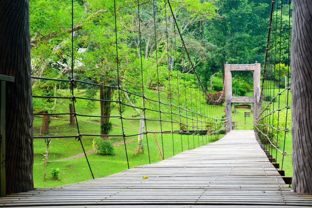 สะพานแขวนไม้ที่มีราวเชือกทอดยาวเหนือพื้นที่หญ้าที่ล้อมรอบด้วยต้นไม้สีเขียว ทำให้เป็นสถานที่ที่สมบูรณ์ ที่เที่ยวธรรมชาติ แบบสำหรับผู้ที่ต้องการสถานที่ท่องเที่ยวธรรมชาติในสวนหรือป่าที่เงียบสงบ.