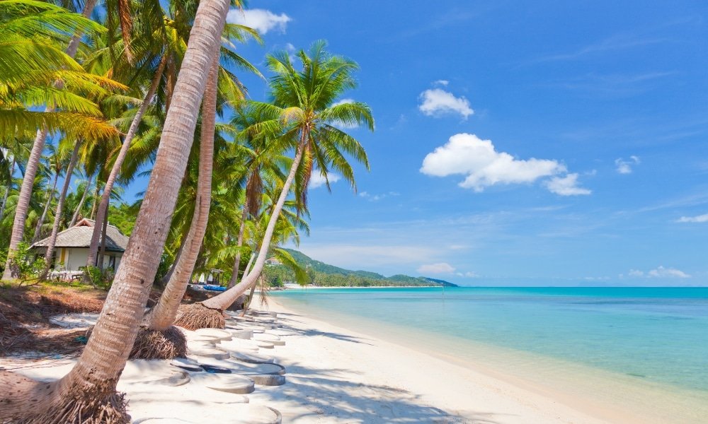 ชายหาดเขตร้อนที่มีทรายขาว น้ำทะเลใสสีฟ้า และต้นปาล์มใต้ ที่เที่ยวสุราษฎร์ธานี ท้องฟ้าแจ่มใส มีอาคารเล็ก ๆ มองเห็นอยู่ท่ามกลางต้นไม้ทางซ้ายมือ—เหมาะสำหรับผู้ที่กำลังมองหากิจกรรมท่องเที่ยวสุราษฎร์ธานี หรือสถานที่ท่องเที่ยวที่ซ่อนตัวอยู่ในสุราษฎร์ธานี.