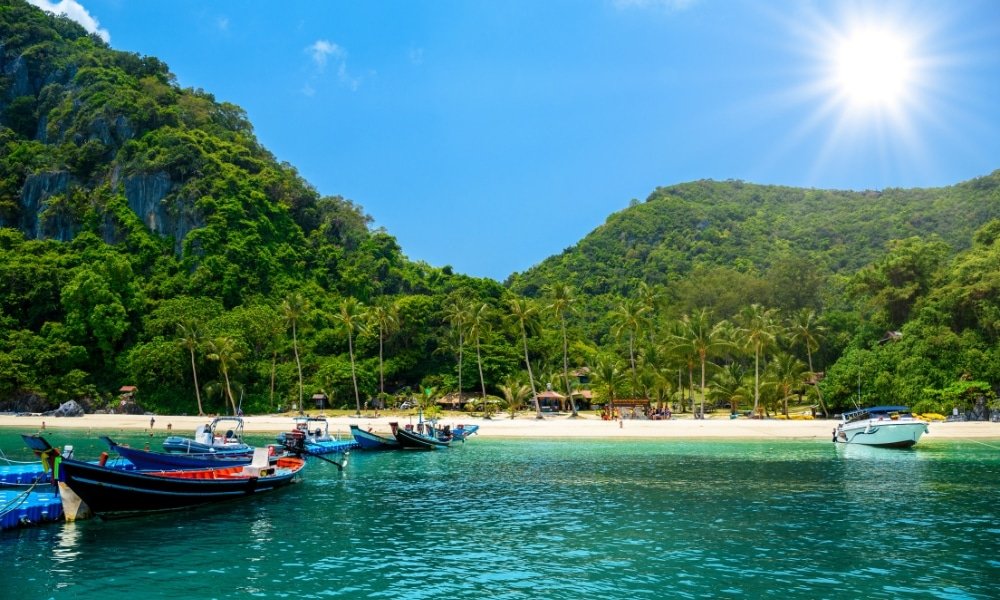 เรือหลายลำจอดทอดสมออยู่ใกล้ ที่เที่ยวสุราษฎร์ธานี ชายหาดเขตร้อนที่มีเนินเขาเขียวขจี ต้นปาล์ม และน้ำทะเลใสสีฟ้าภายใต้ท้องฟ้าแจ่มใส—เหมาะอย่างยิ่งสำหรับผู้ที่ต้องการสำรวจสถานที่ท่องเที่ยวในสุราษฎร์ธานีตามแนวชายฝั่งอันงดงามนี้.