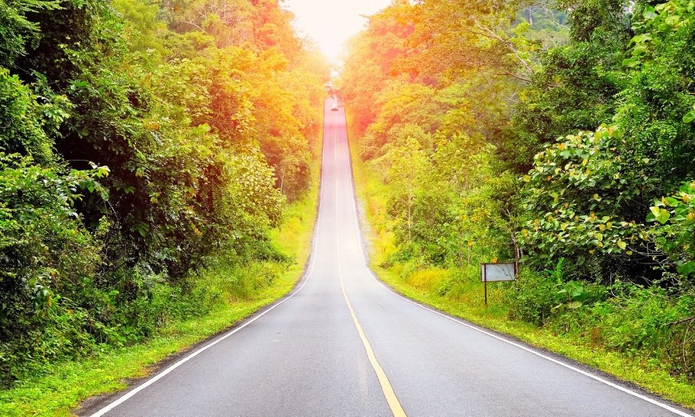 ถนนลาดยางที่มีเส้นแบ่งสีเหลืองพาดขึ้นไปตามเนินผ่านต้นไม้เขียวชอุ่ม ทอดยาวไปจนถึงยอดที่ ที่เที่ยวปลายฝนต้นหนาว แสงแดดส่องประกาย—เป็นภาพที่สมบูรณ์แบบสำหรับการหลีกหนีไปยังสถานที่ท่องเที่ยวปลายฝนต้นหนาว.