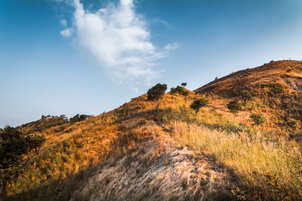 เนินเขาที่ปกคลุมด้วยหญ้าและมี ที่เที่ยวปลายฝนต้นหนาว ต้นไม้เล็ก ๆ กระจายอยู่ใต้ท้องฟ้าสีฟ้าที่มีเมฆบางส่วน เหมาะสำหรับผู้ที่กำลังมองหาสถานที่ท่องเที่ยวในช่วงปลายฤดูฝนต้นฤดูหนาว ท่ามกลางความงดงามตามธรรมชาติที่เงียบสงบ.