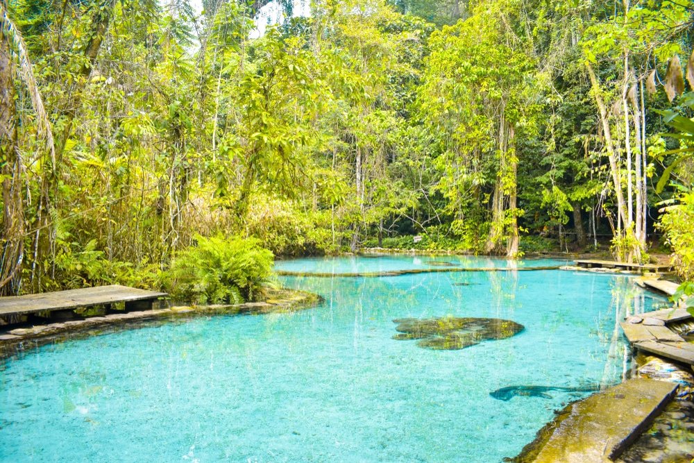 น้ำพุธรรมชาติสีฟ้าใส หนึ่งในสถานที่ท่องเที่ยวทางธรรมชาติที่ดีที่สุด ล้อมรอบด้วยต้นไม้เขตร้อนสีเขียวชอุ่มและทางเดินไม้ในป่าทึบ.