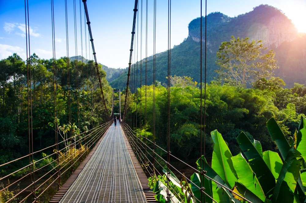 สะพานแขวนทอดยาวเหนือภูมิทัศน์ที่เขียวชอุ่ม มีภูเขาและต้นไม้เป็นฉากหลังภายใต้ท้องฟ้าที่แจ่มใส ที่เที่ยวสุราษฎร์ธานี ทำให้เป็นหนึ่งในสถานที่ท่องเที่ยวที่ต้องไปเยือนในสุราษฎร์ธานีสำหรับผู้ที่รักธรรมชาติ.