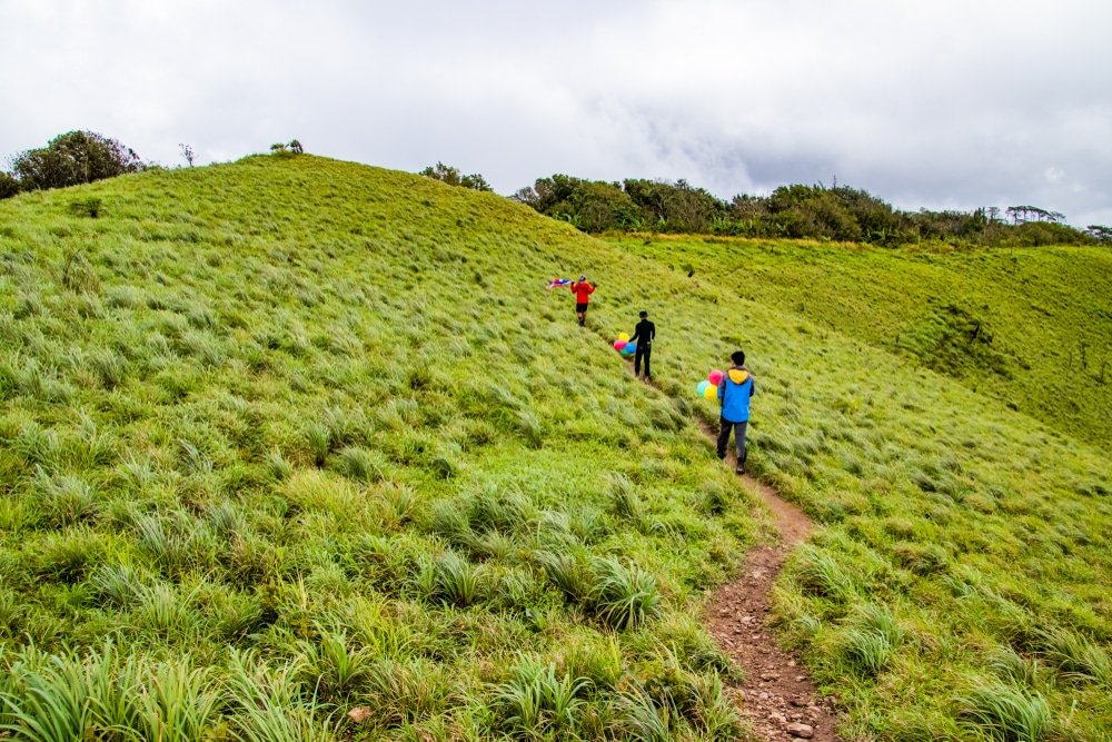 หลายคนเดินไปตามเส้นทางดินแคบผ่านเนินเขาที่ปกคลุมด้วยหญ้าเขียว ที่เที่ยวปลายฝนต้นหนาว ภายใต้ท้องฟ้าที่มีเมฆครึ้ม เพลิดเพลินกับอากาศบริสุทธิ์ที่ ที่เที่ยวปลายฝนต้นหนาว.