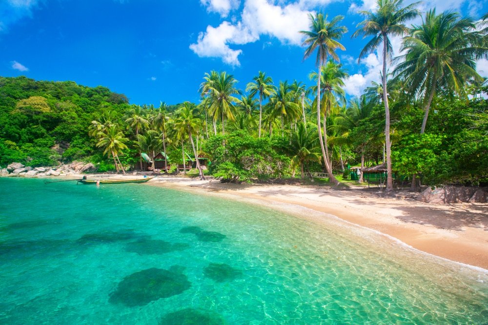 ชายหาดเขตร้อน ที่เที่ยวสุราษฎร์ธานี ที่มีน้ำทะเลใสสีเทอร์ควอยซ์ ทรายสีทอง ต้นปาล์ม และพืชพรรณเขียวชอุ่มภายใต้ท้องฟ้าสีครามที่มีเมฆลอยประปราย—เหมาะสำหรับผู้ที่มองหาสถานที่ท่องเที่ยวในสุราษฎร์ธานีและสถานที่ท่องเที่ยวในสุราษฎร์ธานีที่น่าจดจำไม่รู้ลืม.
