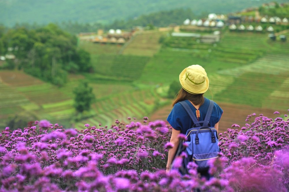 บุคคลหนึ่งสวมหมวกสีเหลืองและสะพายเป้สีน้ำเงินยืนอยู่ในทุ่งดอกไม้สีม่วง มองดูพื้นที่ ที่เที่ยวปลายฝนต้นหนาว เกษตรกรรมแบบขั้นบันไดและอาคารที่อยู่ไกลบนเนินเขาสีเขียว—เป็นภาพที่สมบูรณ์แบบสำหรับสถานที่ท่องเที่ยวปลายฝนต้นหนาว.