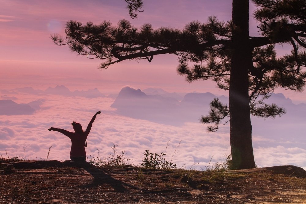 บุคคลหนึ่งนั่งอยู่บนพื้นหิน ยกแขน ที่เที่ยวปลายฝนต้นหนาว ขึ้นใต้ต้นสน โดยมีภูเขาและเมฆเป็นฉากหลังในระหว่างพระอาทิตย์ขึ้นสีชมพู—บันทึกความงดงามอันเงียบสงบของ ที่เที่ยวปลายฝนต้นหนาว.