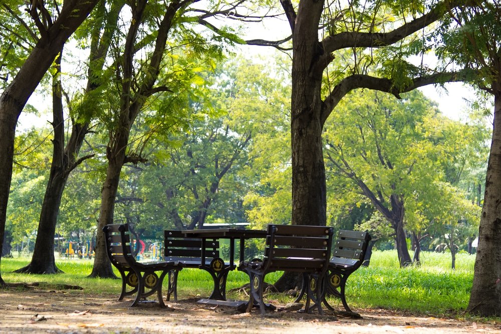 ม้านั่งไม้สี่ตัวล้อมรอบโต๊ะสี่เหลี่ยมใต้ต้นไม้ใหญ่ในสวนสาธารณะ แสงแดดส่องผ่านใบไม้ลงมา— ที่เที่ยวกรุงเทพ สถานที่ท่องเที่ยวในกรุงเทพฯ ที่เงียบสงบสำหรับการพักผ่อนท่ามกลางหญ้าสีเขียว.