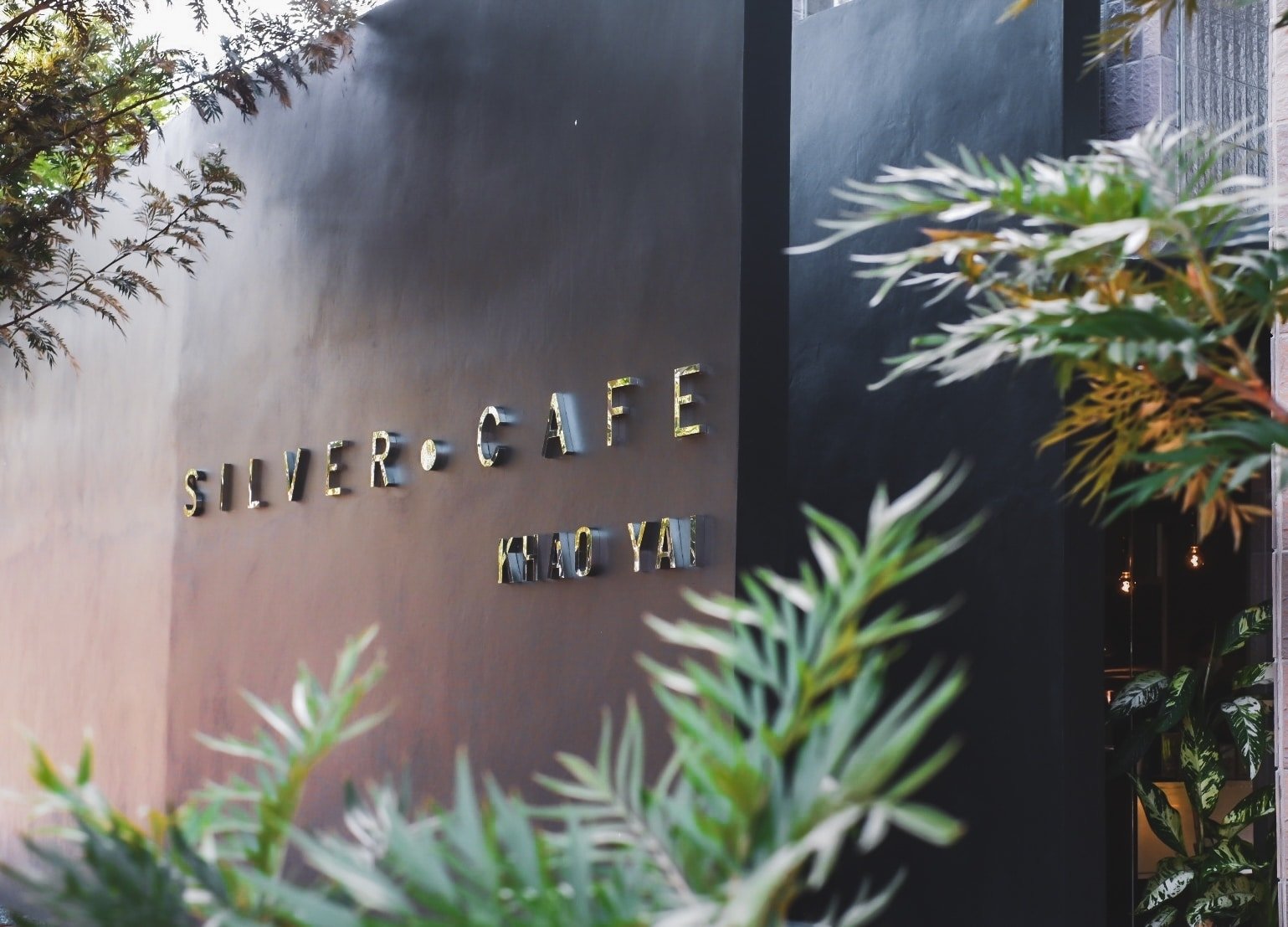 ผนังด้านนอกของอาคารที่มีป้าย "SILVER CAFE KHAO YAI" ซึ่งถูกบดบังบางส่วนโดยพืชสีเขียว—จุดที่น่าหลงใหลสำหรับผู้ที่กำลังสำรวจ ที่เที่ยวเขาใหญ่.
