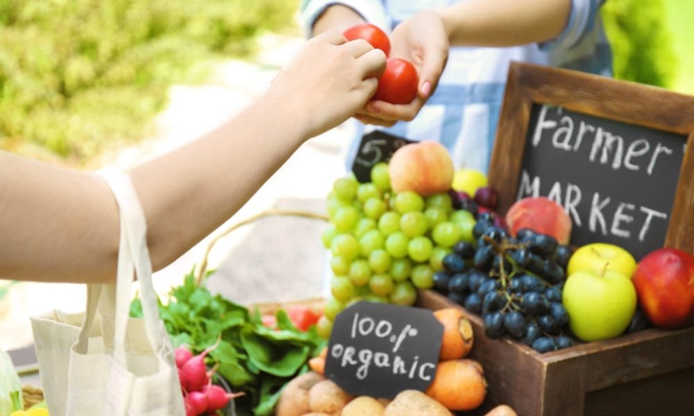 คนคนหนึ่งยื่นมะเขือเทศให้กับอีกคนหนึ่งที่แผงขายของในตลาดเกษตรกร ซึ่งมีองุ่น ลูกแพร์ ผักใบเขียว และป้ายที่เขียนว่า "ตลาดเกษตรกร" และ "ออร์แกนิก 100%" สะท้อนเสน่ห์สดใหม่ของ ที่เที่ยวเขาใหญ่.