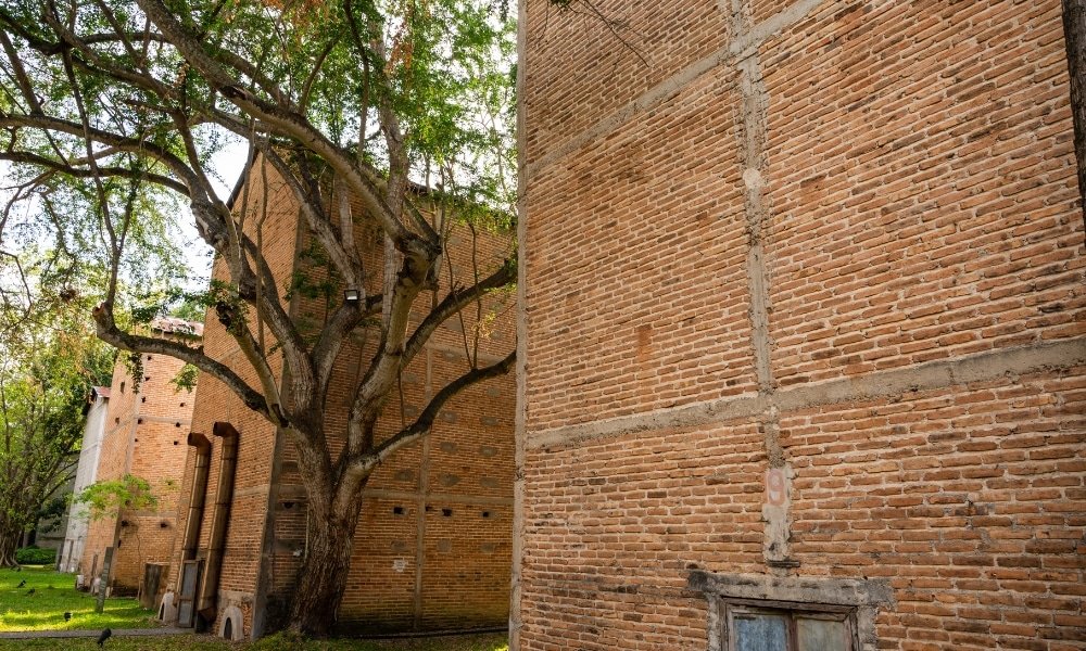 อาคารอิฐขนาดใหญ่ที่มีลวดลายสี่เหลี่ยมผืนผ้าตั้งอยู่ข้างต้นไม้ใบเขียวชอุ่มบนพื้นที่หญ้า โดยมีแสงแดดส่องผ่านกิ่งไม้ลงมา—เป็นภาพที่ชวนให้ใครก็ตามที่มาสำรวจสถานที่ท่องเที่ยวในน่านรู้สึกอบอุ่นใจ.