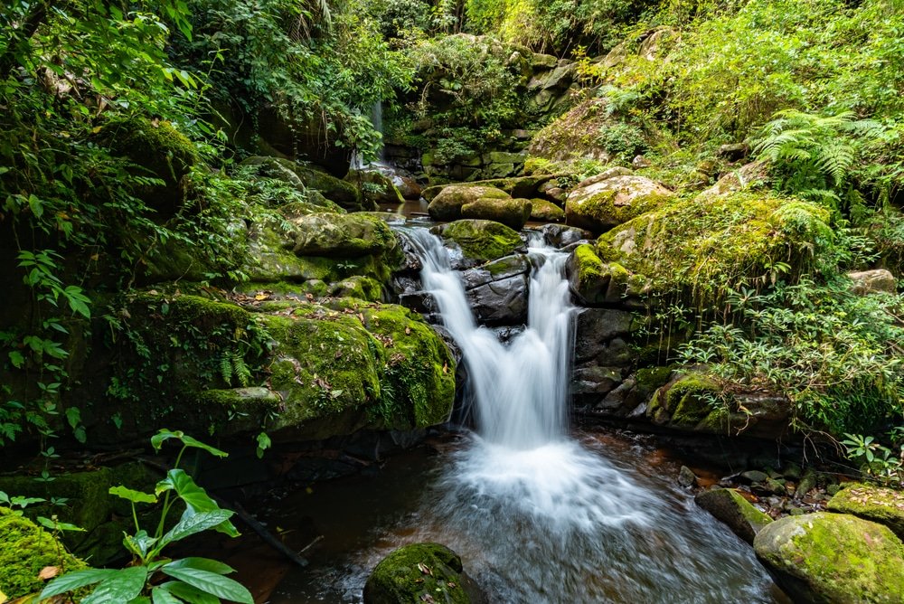 น้ำตกขนาดเล็กไหลลดหลั่นลงมาบนโขดหินปกคลุมด้วยมอส รายล้อมด้วยพืชพรรณป่าเขียวชอุ่มหนาแน่น—อัญมณีซ่อนเร้นสำหรับผู้ที่มาเที่ยวน่านและคนรักธรรมชาติที่ออกค้นหาสถานที่ท่องเที่ยวอัน unseen ในน่าน.