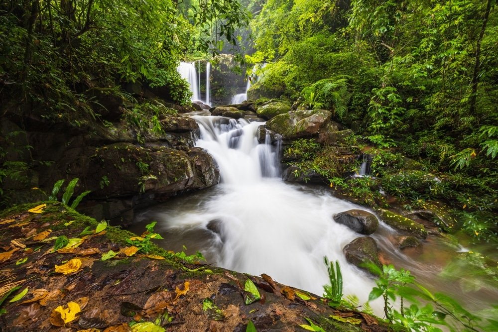 น้ำตกที่ไหลลดหลั่นกันลงมาผ่านโขดหินที่ล้อมรอบด้วยพืชพรรณและใบไม้เขตร้อนที่หนาแน่นและเขียวชอุ่ม—หนึ่งในภาพทิวทัศน์ที่เงียบสงบซึ่งคุณจะพบเมื่อมา เที่ยวน่าน และสำรวจ สถานที่ท่องเที่ยวในน่าน.