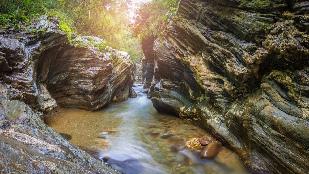 ลำธารแคบไหลผ่านระหว่างผนังหินสูงชันที่ล้อมรอบด้วยพืชพรรณเขียวชอุ่ม มีแสงแดดส่องผ่านลงมาตามต้นไม้ด้านบน—เป็นภาพที่งดงามน่าหลงใหลที่มักพบได้ที่เที่ยวจังหวัดน่านสำหรับผู้ที่มาสำรวจความงามของสถานที่ท่องเที่ยวในน่าน.