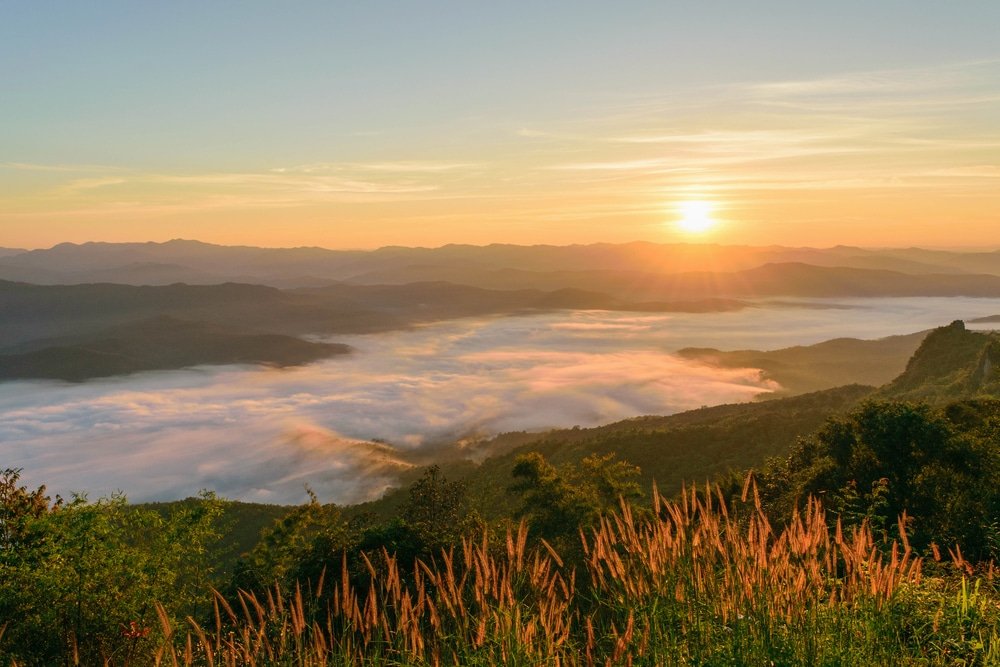 พระอาทิตย์ขึ้นเหนือภูเขาที่มีเมฆปกคลุมหุบเขา มองเห็นจากเนินเขาที่ปกคลุมด้วยหญ้าพร้อมพืชป่าในเบื้องหน้า—ทัศนียภาพที่น่าจดจำสำหรับใครก็ตามที่กำลังมองหา สถานที่ท่องเที่ยวในน่าน.