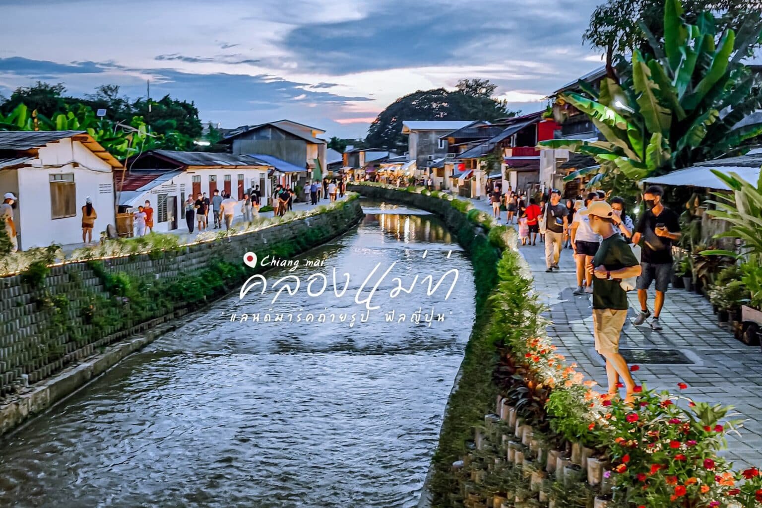 คลองแคบไหลผ่านถนนที่คึกคักซึ่งเรียงรายไปด้วยร้านค้า พืชพรรณ และผู้คนเดินเล่นใต้ท้องฟ้ายามเย็น—หนึ่งในสถานที่ท่องเที่ยวที่มีเสน่ห์ของเชียงใหม่ที่ควรไปสำรวจระหว่างการเดินทางของคุณที่เชียงใหม่ ประเทศไทย.