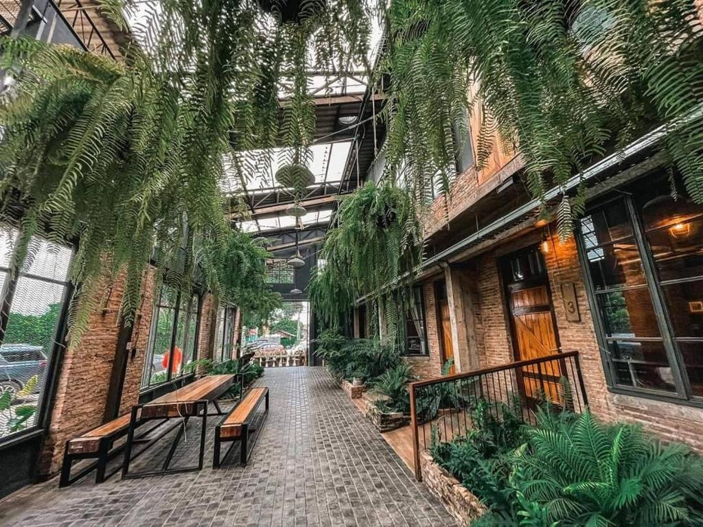 ทางเดินในร่มที่มีผนังอิฐ หน้าต่างบานใหญ่ ม้านั่งไม้ และเฟิร์นแขวนเขียวชอุ่ม สร้างบรรยากาศเหมือนสวน—เหมาะอย่างยิ่งสำหรับการพักผ่อนใน ที่พักน่านในเมือง ที่แสนอบอุ่น.