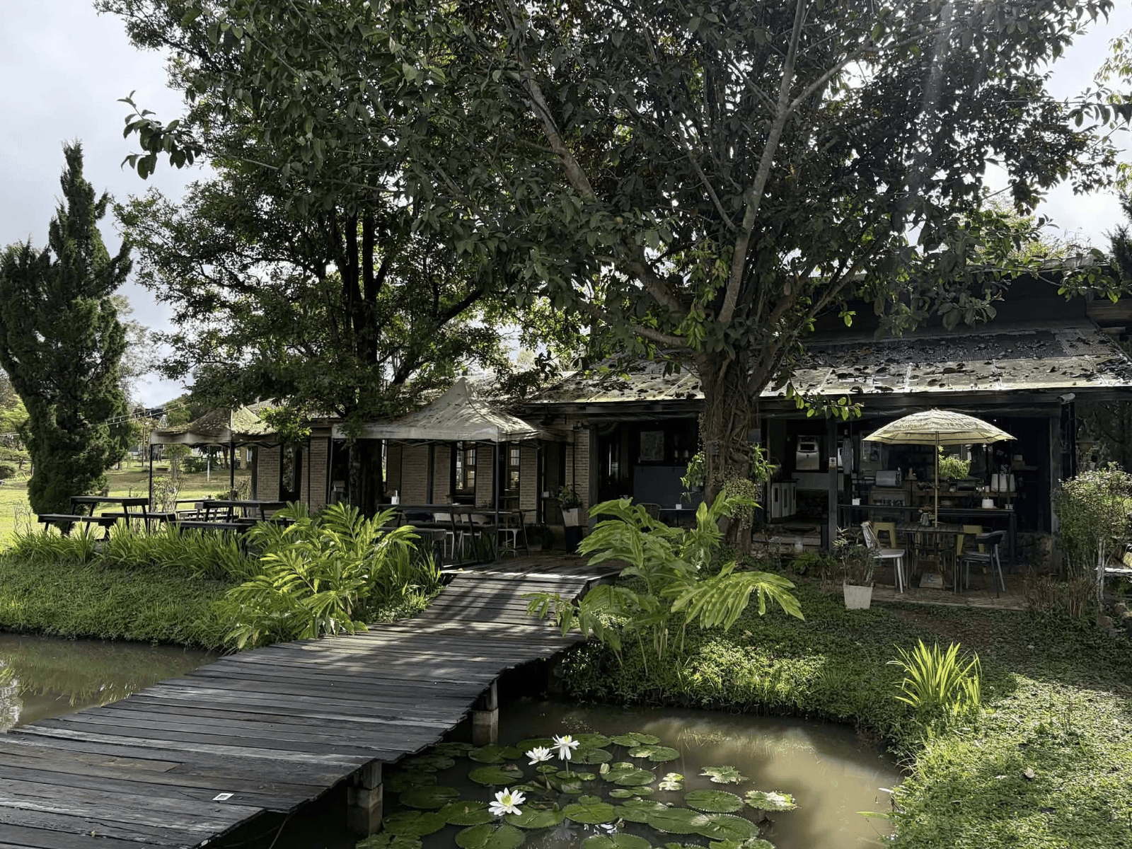 สะพานไม้สไตล์ชนบททอดข้ามบ่อน้ำที่มีดอกบัว นำทางไปยังที่นั่งกลางแจ้งและคาเฟ่แสนอบอุ่นที่ร่มรื่นด้วยต้นไม้ใหญ่—สถานที่เชิญชวนสำหรับทุกคนที่กำลังมองหาแหล่งท่องเที่ยวอยุธยาหรือสถานที่ท่องเที่ยวที่มีเสน่ห์ในอยุธยา.