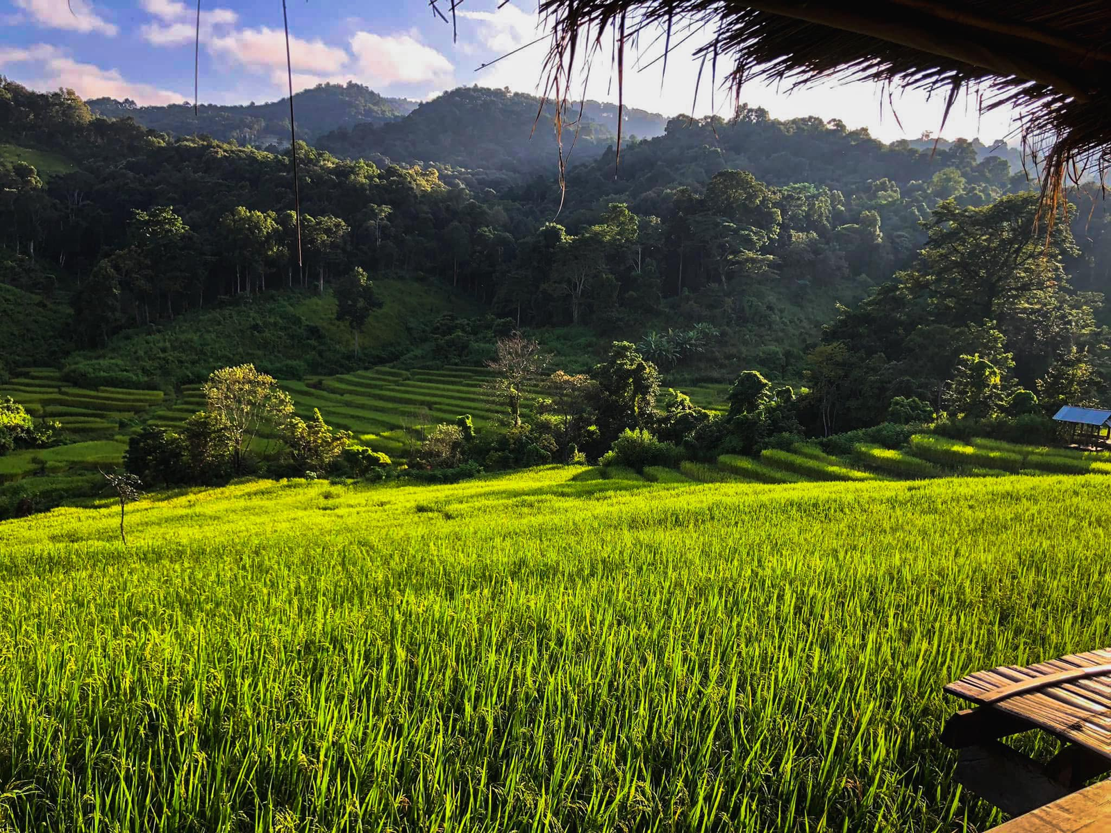 ทุ่งนาข้าวเขียวขจีทอดยาวไปตามเนินเขาภายใต้ท้องฟ้าที่มีเมฆบางส่วนปกคลุม โดยมีม้านั่งไม้และหลังคามุงจากอยู่ด้านหน้า—เหมาะสำหรับผู้ที่มองหาสถานที่ท่องเที่ยวในอยุธยาท่ามกลางความงดงามของธรรมชาติ.