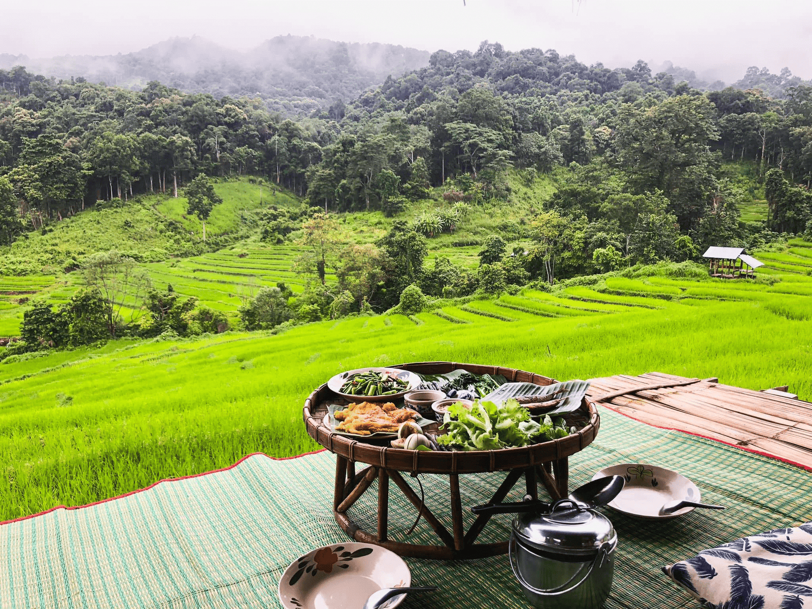 มื้ออาหารแบบดั้งเดิมที่ประกอบด้วยผักและข้าววางบนเสื่อไม้ไผ่ มองเห็นวิวนาข้าวเขียวขจี สร้างบรรยากาศที่ชวนให้นึกถึงสถานที่ท่องเที่ยวอยุธยา เหมาะสำหรับผู้ที่ชื่นชอบธรรมชาติและอาหารที่แท้จริง.