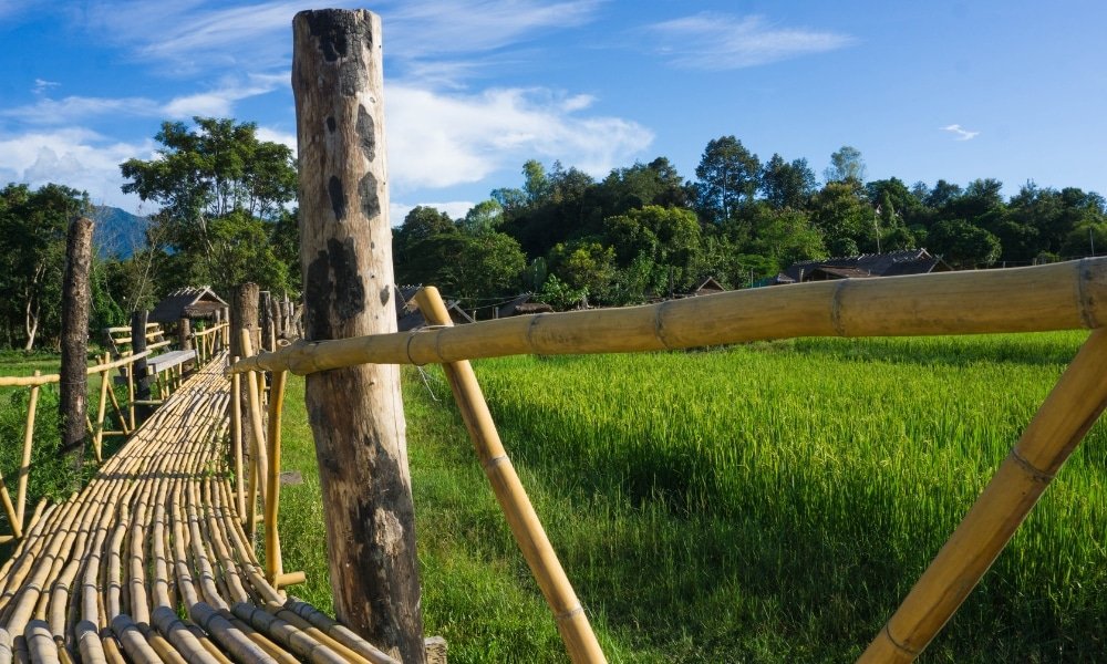 สะพานไม้ไผ่ที่มีเสาไม้ทอดข้ามทุ่งหญ้าสีเขียว โดยมีต้นไม้และท้องฟ้าสีครามเป็นฉากหลัง—สถานที่ท่องเที่ยวในอยุธยาที่งดงามเหมาะสำหรับการพักผ่อนท่ามกลางธรรมชาติอันงดงามของอยุธยา.