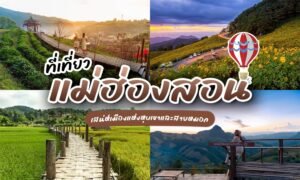 รวม ที่เที่ยวแม่ฮ่องสอน 2026 วิวหลักล้าน ธรรมชาติอลังการ แม่ฮ่องสอนที่เที่ยว ล้วนมีเอกลักษณ์เฉพาะตัว จัดมาให้แล้ว เที่ยวแม่ฮ่องสอน แบบครบทุกอำเภอจุกๆ