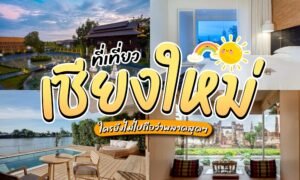 ภาพคอลลาจของสถานที่ท่องเที่ยวในเชียงใหม่ พร้อมข้อความภาษาไทยที่เด่นชัด แสดงภาพสวน ห้องพักโรงแรม วิวริมแม่น้ำ และทิวทัศน์เมืองใต้ท้องฟ้าสีฟ้า — จับภาพแก่นแท้ของ “ที่เที่ยวเชียงใหม่” ได้อย่างสมบูรณ์แบบ สำหรับผู้รักการท่องเที่ยวทุกคน.