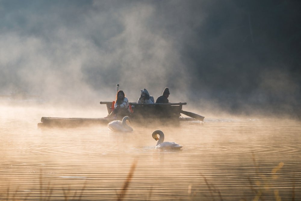 สามคนนั่งอยู่บนแพไม้ในทะเลสาบที่มีหมอกปกคลุม โดยมีหงส์สองตัวว่ายน้ำอยู่ใกล้ๆ ในแสงยามเช้าตรู่ เพลิดเพลินกับความงดงามอันเงียบสงบของหนึ่งในสถานที่ท่องเที่ยวลับของอยุธยา.