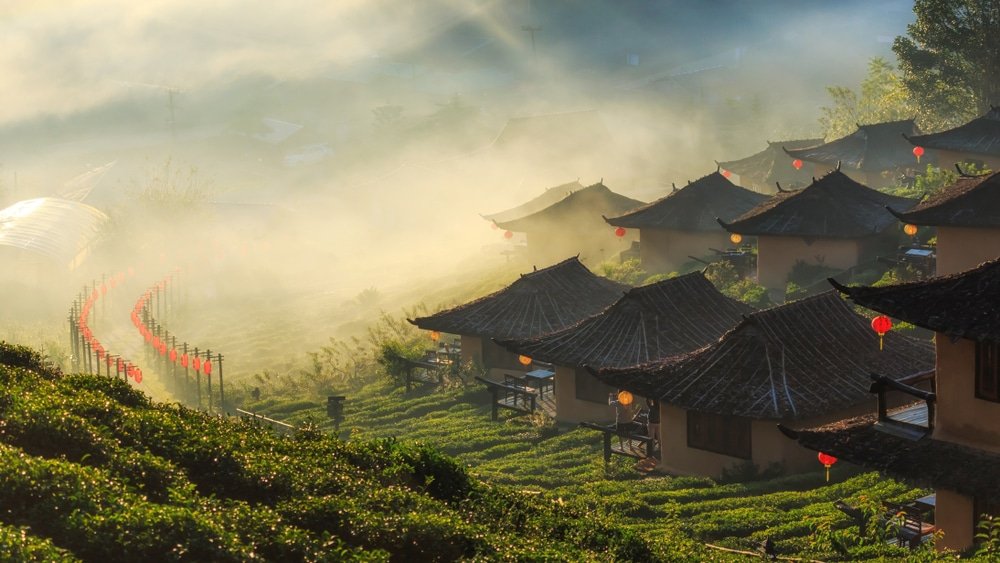 ไร่ชาที่มีบ้านไม้แบบดั้งเดิมเรียงรายอยู่บนเนินเขา ล้อมรอบด้วยหมอกและแสงแดดยามเช้า—มอบบรรยากาศเงียบสงบที่ชวนให้นึกถึงสถานที่ลับเช่น ที่เที่ยวอยุธยา สำหรับผู้ที่แสวงหาการพักผ่อนอย่างสงบ.