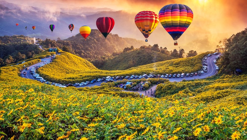 บอลลูนลมร้อนหลากสีลอยอยู่เหนือถนนคดเคี้ยวที่เรียงรายไปด้วยรถยนต์ ท่ามกลางดอกไม้สีเหลืองและเนินเขาสีเขียวในยามพระอาทิตย์ตกดิน สร้างภาพที่ชวนให้นึกถึง "อยุธยาที่เที่ยว" หนึ่งในสถานที่ท่องเที่ยวที่น่าหลงใหลที่สุดในอยุธยา.