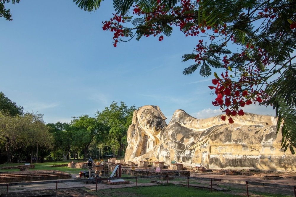 พระพุทธรูปปางนอนขนาดใหญ่กลางแจ้ง ล้อมรอบด้วยต้นไม้และพืชพรรณเขียวขจี มีดอกไม้สีแดงห้อยจากกิ่งไม้ในเบื้องหน้า ท่ามกลางท้องฟ้าสีคราม—สถานที่ท่องเที่ยวอยุยาที่เป็นสัญลักษณ์ เหมาะอย่างยิ่งสำหรับผู้ที่วางแผนจะเที่ยวอยุยา.