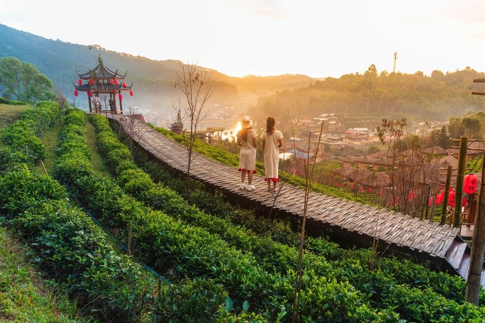 สองคนยืนอยู่บนทางเดินไม้ไผ่ที่ทอดยาวออกไปมองเห็นทุ่งชาเขียว ศาลาไม้แบบดั้งเดิม และหมู่บ้านในยามพระอาทิตย์ตกดิน โดยมีภูเขาเป็นฉากหลัง—บรรยากาศที่ชวนให้นึกถึงสถานที่ท่องเที่ยวในอยุธยา.