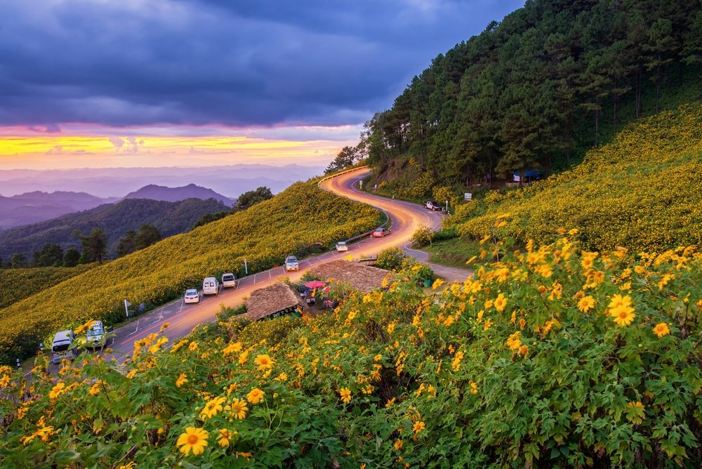 ถนนคดเคี้ยวโค้งผ่านเนินเขาที่ปกคลุมไปด้วยดอกไม้สีเหลือง มีรถยนต์จอดอยู่และกระท่อมเล็กๆ เรียงรายอยู่ริมทางภายใต้ท้องฟ้ายามพระอาทิตย์ตกที่งดงาม—ชวนให้นึกถึงเสน่ห์ที่พบได้ที่ ที่เที่ยวอยุธยา.