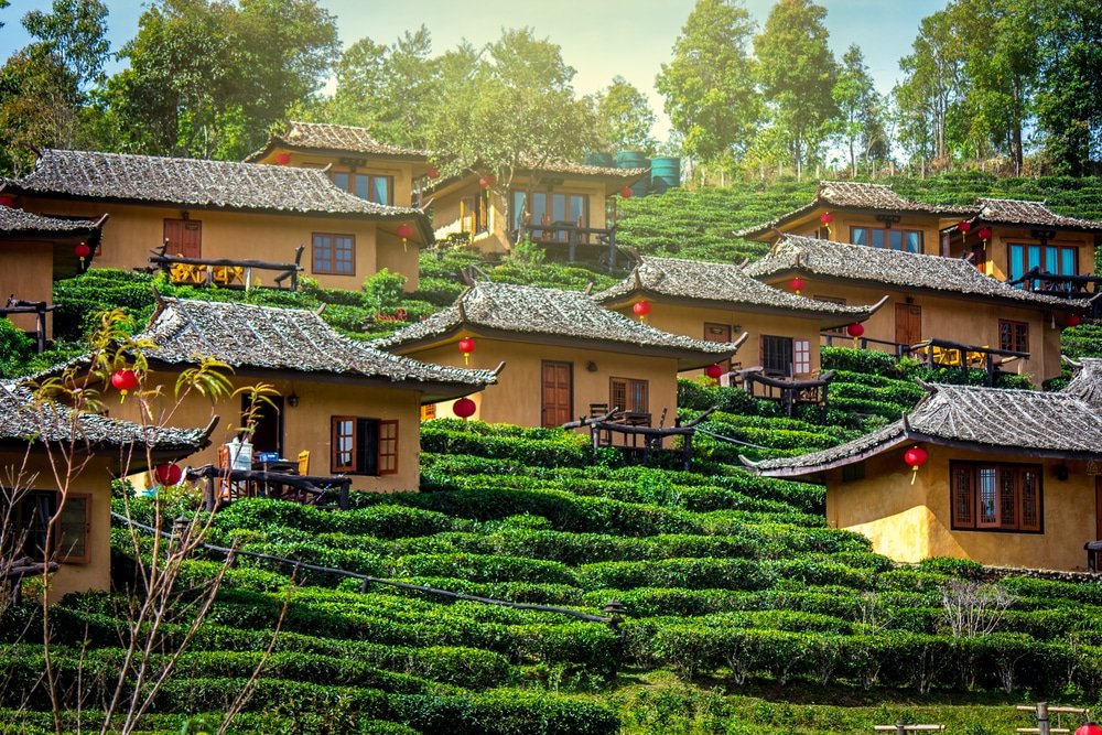 บ้านไม้ขนาดเล็กสไตล์ดั้งเดิมที่มีหลังคากระเบื้องถูกจัดเรียงอยู่บนเนินเขาเขียวเป็นชั้น ๆ ล้อมรอบด้วยต้นไม้และประดับประดาด้วยโคมไฟสีแดง—สะท้อนเสน่ห์อันสงบที่มักพบได้ที่เที่ยวอยุธยา.