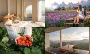 แนะนำ ที่พักเชียงใหม่ 2026 วิวสวย นอนฟิน เที่ยวครบทุกโซน!! โรงแรมเชียงใหม่ สวยๆ ทั้งโซน รีสอร์ทเชียงใหม่ ในเมือง นอกเมือง และสถานที่ท่องเที่ยวที่สำคัญๆ