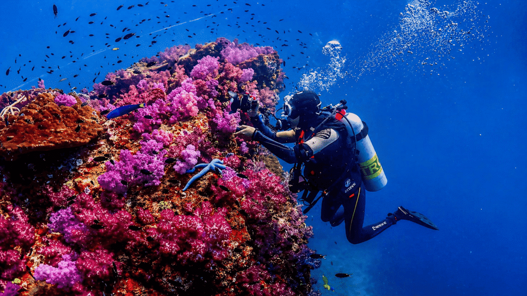 นักดำน้ำ ทัวร์ดำน้ำลึก เขาหลัก กำลังตรวจสอบแนวปะการังหลากสีที่ปกคลุมไปด้วยปะการังสีชมพูและล้อมรอบด้วยปลาตัวเล็ก ๆ ใต้น้ำ.